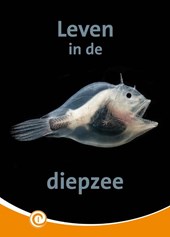 Leven in de diepzee