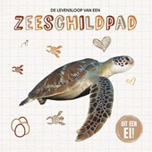 De levensloop van een zeeschildpad