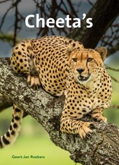 Cheeta's