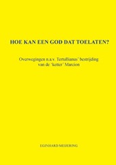 Hoe kan een God dat toelaten?