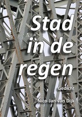 Stad in de regen.