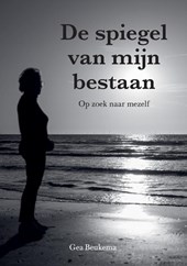 De spiegel van mijn bestaan