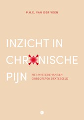 Inzicht in chronische pijn