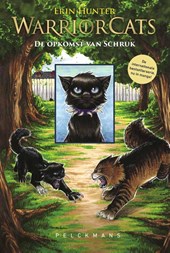 De opkomst van Schruk