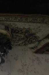 het meisje dat kerst vierd