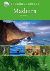 Crossbill Nature Guide Madeira