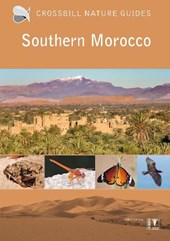 Crossbill Guide Southern Morocco