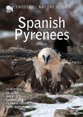 Crossbill Nature Guide Spanish Pyrenees