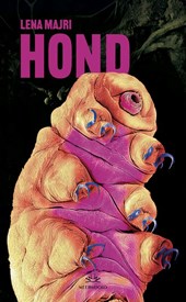 HOND