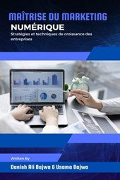 Maîtrise du marketing numérique