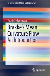 Brakke's Mean Curvature Flow