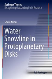 Water Snowline in Protoplanetary Disks