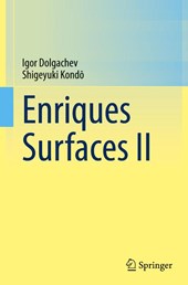 Enriques Surfaces II