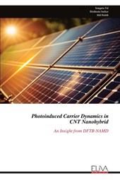 Photoinduced Carrier Dynamics in CNT Nanohybrid