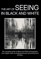 The Art of Seeing in Black and White