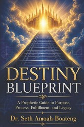 DESTINY BLUEPRINT