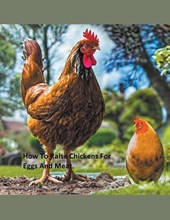 How to Raise Chickens For Eggs and Meat