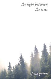 the light between the trees