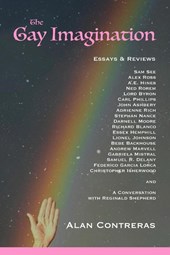 The Gay Imagination