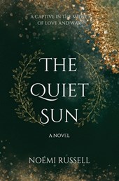 The Quiet Sun