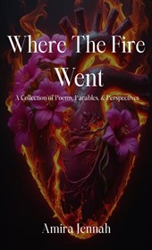 Where The Fire Went
