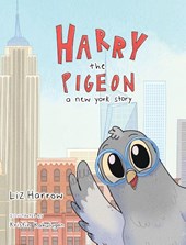 Harry the Pigeon