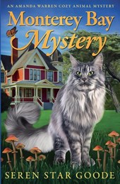 Monterey Bay Mystery