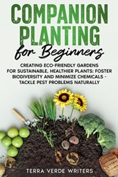 Companion Planting for Beginners