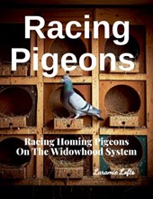 Racing Pigeons