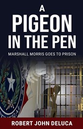 A Pigeon in the Pen