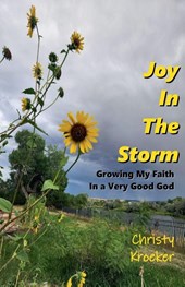 Joy In The Storm