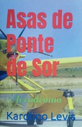 Asas de Ponte de Sor