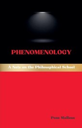 Phenomenology