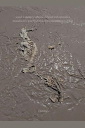 Seated at Memory's Throne Crowned with Amnesia