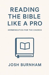 Reading the Bible Like a Pro