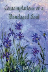Contemplations of a Bandaged Soul