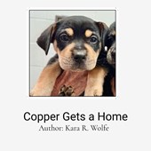 Copper Gets a Home