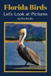 Florida Birds: Let's Look at Pictures