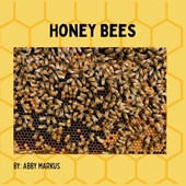 Honey Bees