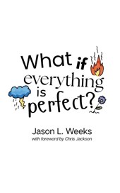 Weeks, J: What if Everything is Perfect?