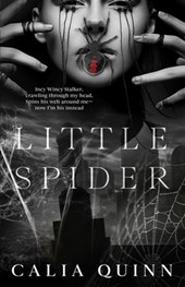 Little Spider: A Dark Psychological Stalker Romance