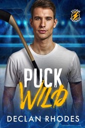 Puck Wild: A MM Hockey Romance