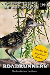 Roadrunners: The Fast Birds of the Desert