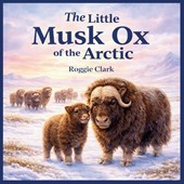 The Little Musk Ox of the Arctic