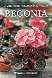 A mini-guide to smart plant care: Begonia