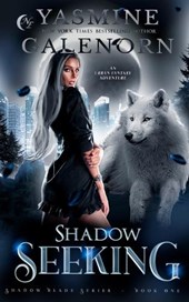 Shadow Seeking: An Urban Fantasy Adventure