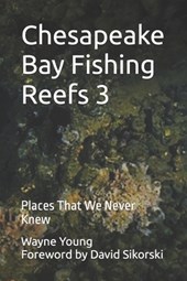 Chesapeake Bay Fishing Reefs 3