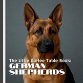 by Design, M: Little Coffee Table Book