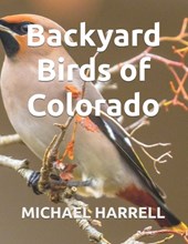 Backyard Birds of Colorado