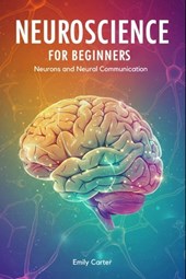 Neurons and Neural Communication